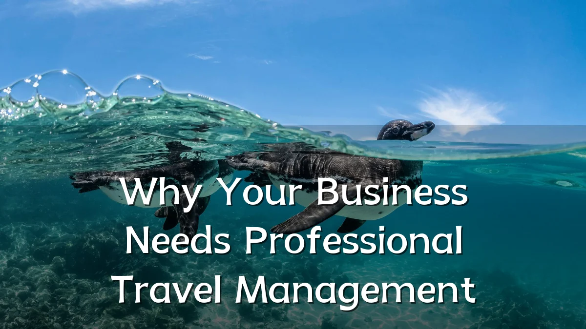 Why Your Business Needs Professional Travel Management