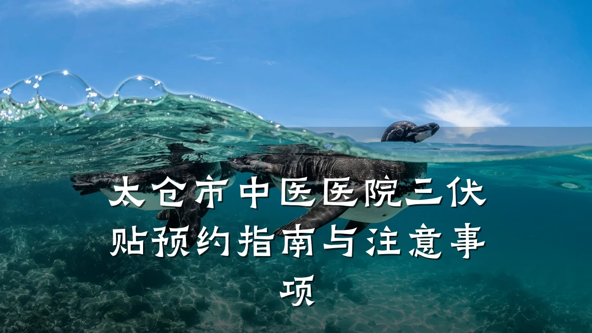 太仓市中医医院三伏贴预约指南与注意事项