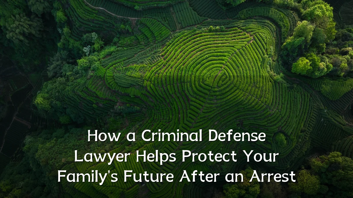 How a Criminal Defense Lawyer Helps Protect Your Family's Future After an Arrest