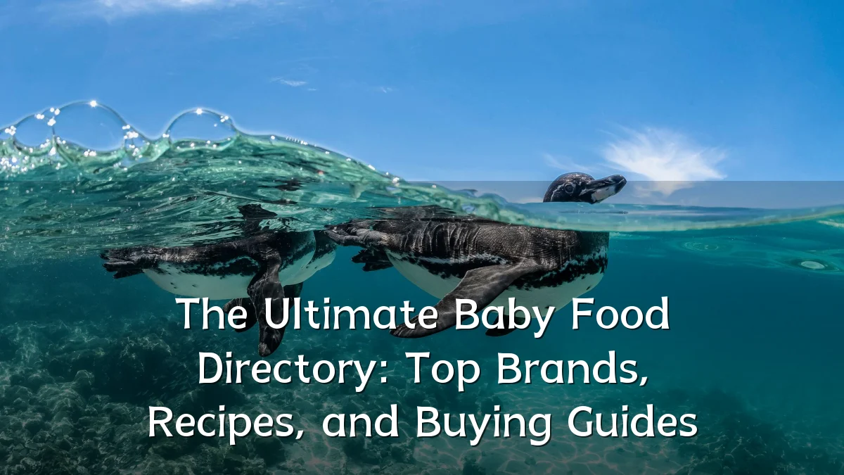 The Ultimate Baby Food Directory: Top Brands, Recipes, and Buying Guides