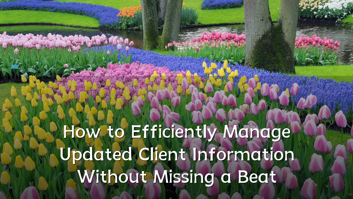 How to Efficiently Manage Updated Client Information Without Missing a Beat