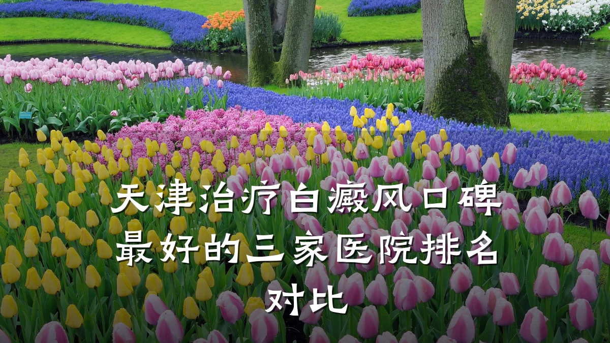 天津治疗白癜风口碑最好的三家医院排名对比