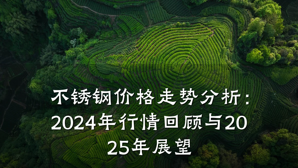 不锈钢价格走势分析：2024年行情回顾与2025年展望