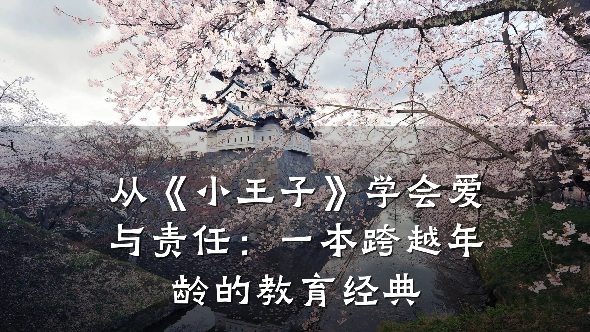 从《小王子》学会爱与责任：一本跨越年龄的教育经典