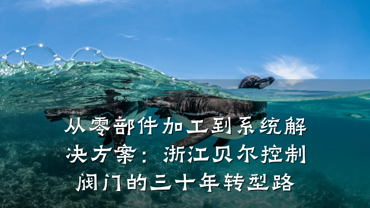 从零部件加工到系统解决方案:浙江贝尔控制阀门的三十年转型路